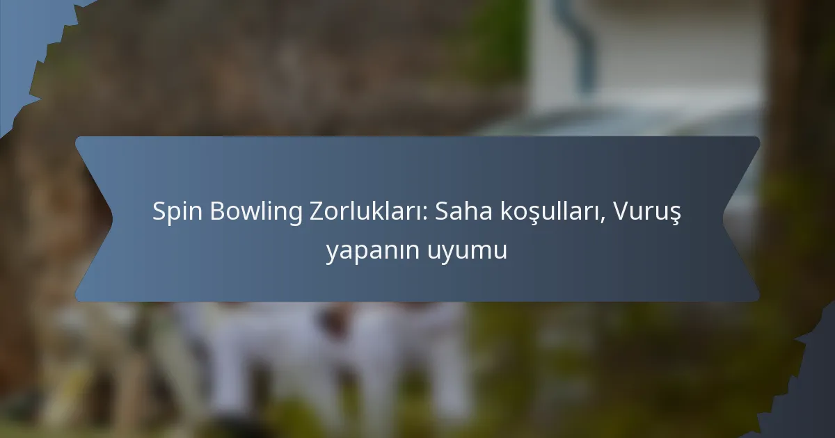Spin Bowling Zorlukları: Saha koşulları, Vuruş yapanın uyumu